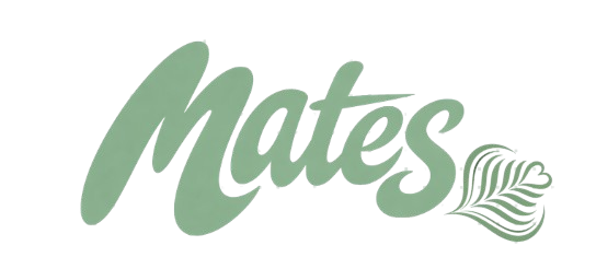 capture d écran 2026 03 26 105138 removebg preview