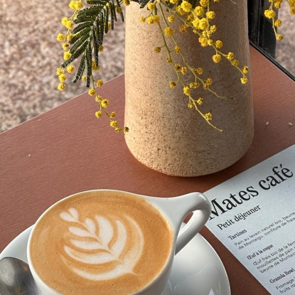 whatsapp image 2026 03 12 at 15.32.39